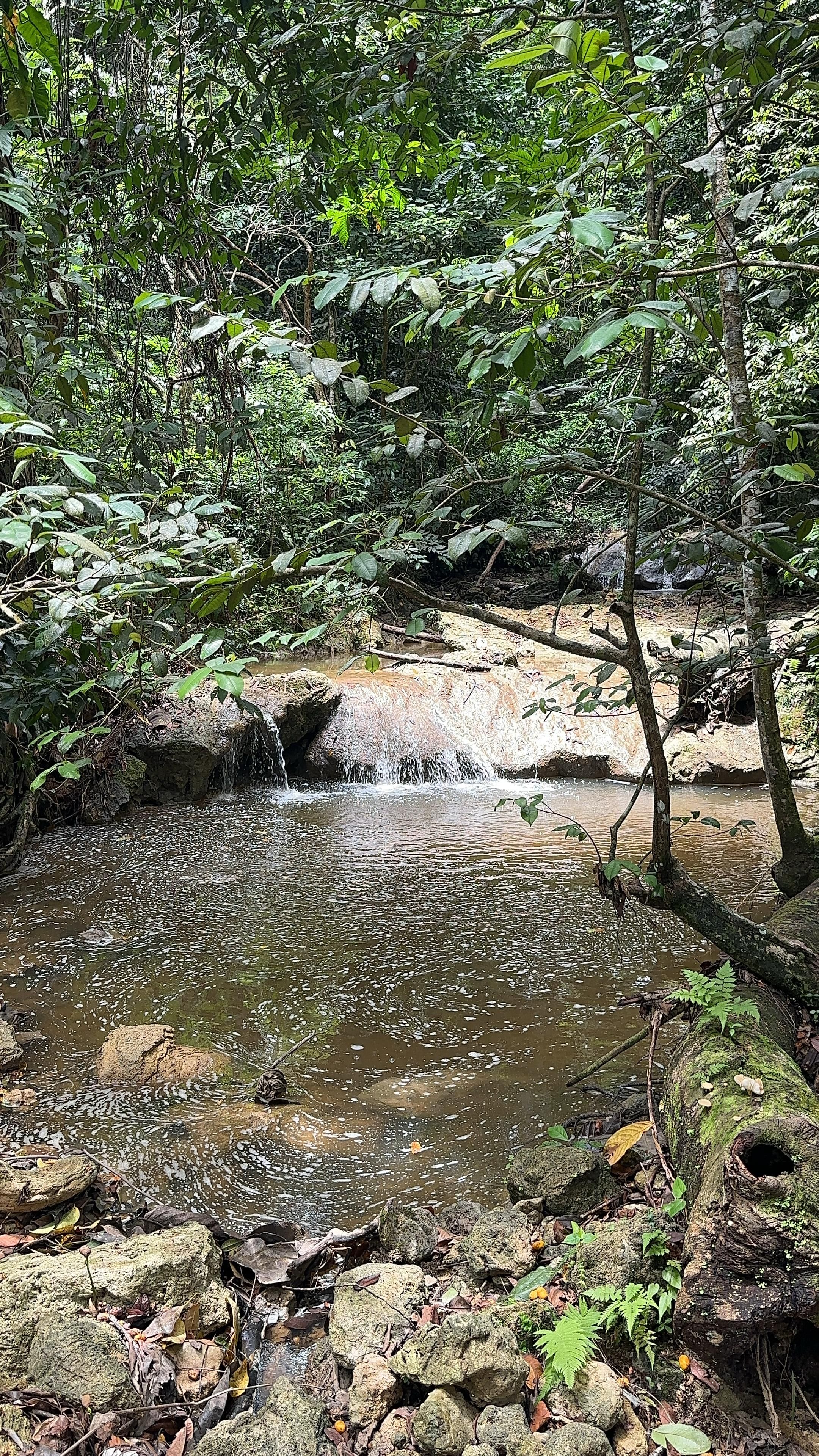 El río que cruza el terreno de Loma Alta.
